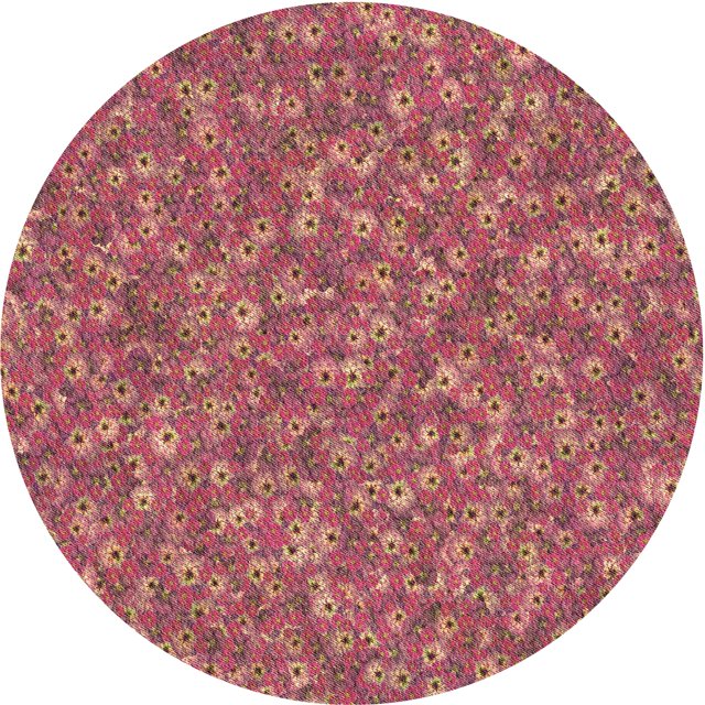 Ahgly Tapis Rond Lavable en Machine Intérieur Transitionnel Orange Lever de Soleil, 7 Pieds Rond