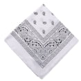 thumbnail image 1 of Birdeem Paisley Bandanas Multi Colored Set Cowboy Bandana Head Scarf Double Sided, 1 of 8