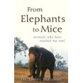 thumbnail image 2 of D'Éléphants à Souris: Animaux Qui Ont Touché Mon Me, 2 of 2