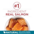 thumbnail image 4 of Purina ONE Salmon & Rice, Dry Cat Food 7.2kg, 4 of 10