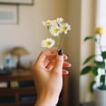 thumbnail image 4 of LSLJS 10 Mini Artificial Daisies Small Marguerite Flowers Fake Spring Flowers Decorative Imitation Flowers with Stems Home Decoration Variety, Plastic Simulated Daisy, 4 of 6