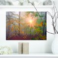 thumbnail image 1 of Morning in Misty Green Forest - Landscape Photo Canvas Art Print, 1 of 3