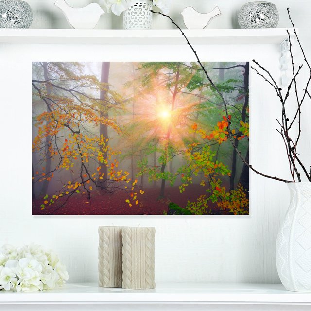 Morning in Misty Green Forest - Landscape Photo Canvas Art Print