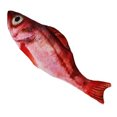 thumbnail image 3 of Poisson Électrique en Mouvement Jouet pour Chat Simulation Réaliste Poisson Qui Remue Jouet Interactif Amusant pour Animaux, 3 of 6