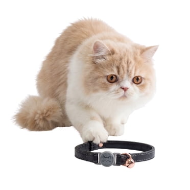 One Paw, Vegan Leather Safety Cat Collar, Breakaway Buckle, for Cats