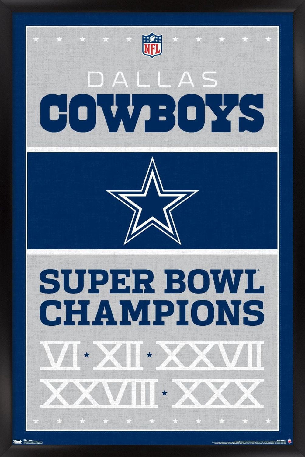 Cowboys de Dallas la NFL