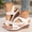 White, variant on Gspmoly Wedge Sandals, Women's Fashion Casual Summer New Style Solid Color Fish Mouth Wedge Heel Thick Bottom Sandals Summer Sandals Brown 42