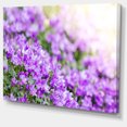 thumbnail image 2 of Beautiful Campanula Flower Bouquet - Large Floral Canvas Artwork, 2 of 4
