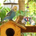 thumbnail image 3 of Shisuyan pet climbing ladder bird Hanging Toy Cotton Rope 1Pcs, 3 of 9