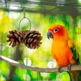 thumbnail image 1 of Birdeem Toy Pinecone Soothing Supplies, 1 of 9