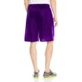 thumbnail image 2 of Russell Athletic 9 Dri-Power Tricot Mesh Shorts, 2XL, Purple, 2 of 2