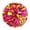 AI, variant on 2PCS Cheerleading Handheld Colorful Flowers Sports Activities Performance Cheering Supplies Colorful Lightweight Finger Ring Buckle Design Anti Slip Off PET Material