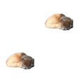 thumbnail image 1 of Redempat Doux pour Toucher l'Émulation Réaliste de Chat Endormi Chats Respirant pour une Expérience Confortable Large Application Mixte Jaune 2Set, 1 of 6