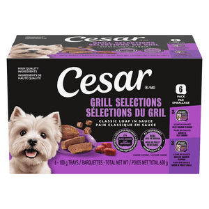 CESAR Classic Loaf in Sauce Entrées Wet Dog Food 6x100g Variety Pack (Filet Mignon Flavour / Grilled Chicken Flavour)