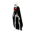 thumbnail image 3 of Squelette d'Halloween en Pose, Objets Éducatifs de Collection, Mini Squelette avec Articulations pour Noir, 3 of 9