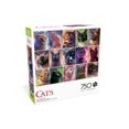thumbnail image 4 of 750P CATS - FRENCH, 4 of 5