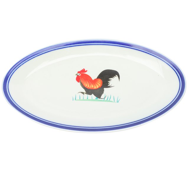 KAKOWELY Decorative Plate 1PC Vintage Style Enamel Steamed Fish Storage Plate Delicate Pattern Plate9.65"X5.91"X0.79"