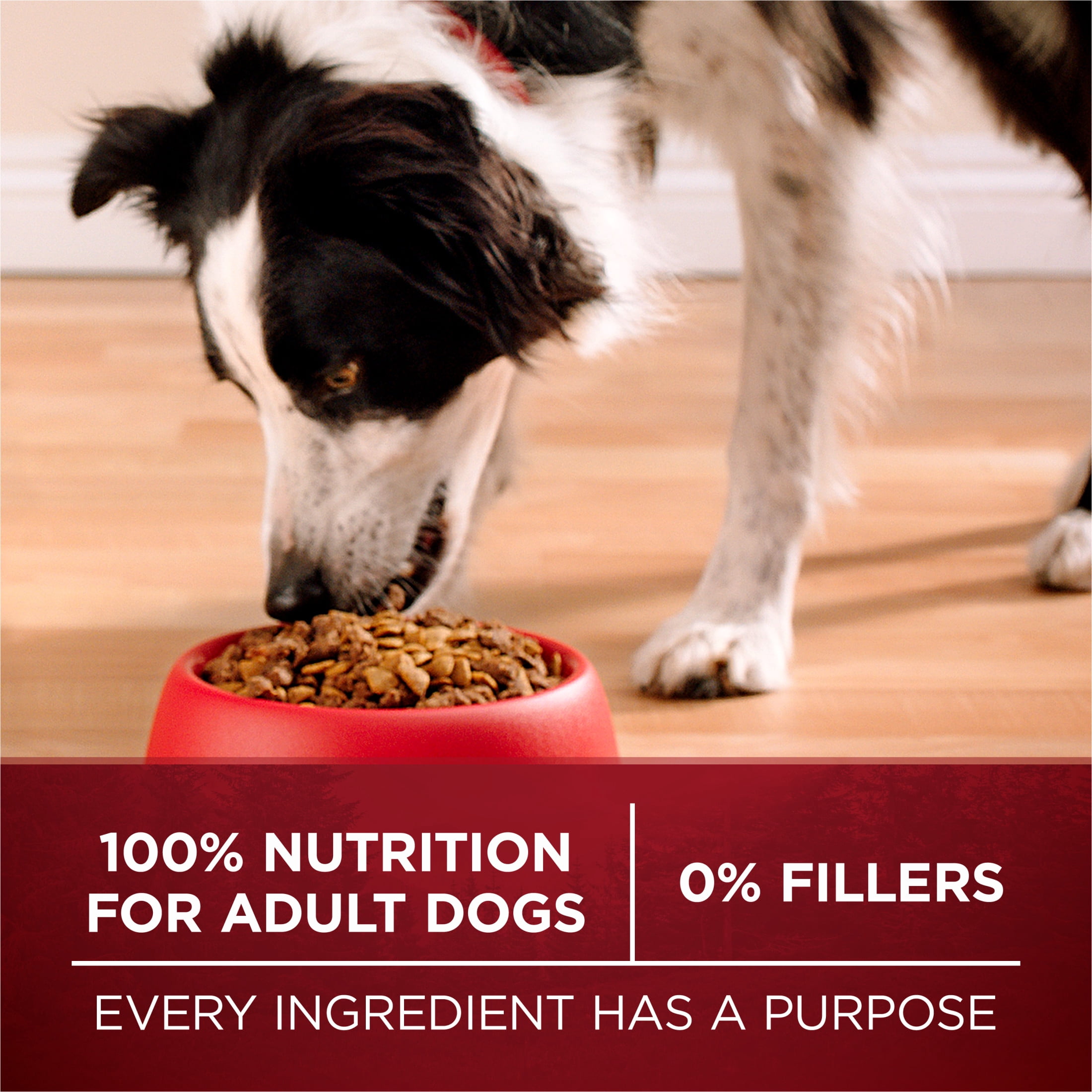 Purina ONE Vrai Instinct Saumon et Thon, Nourriture Sèche pour Chiens 6.8kg