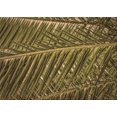 thumbnail image 1 of Ahgly Company Machine Washable Indoor Rectangle Transitional Bakers Brown Area Rugs, 3' x 5', 1 of 7