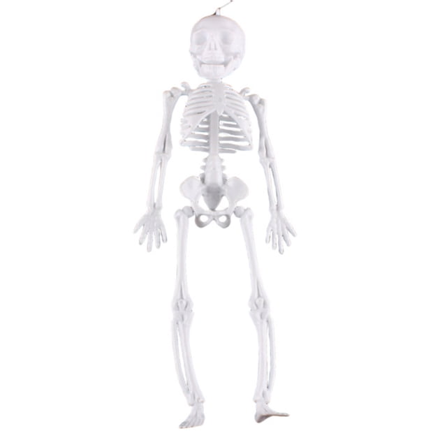 HHBEAUTY 11.4" Posable Skeleton Plastic Mini Skeleton Decor with Movable Joints, Outdoor Halloween Decor Props for Yard Haunted Houses Porch