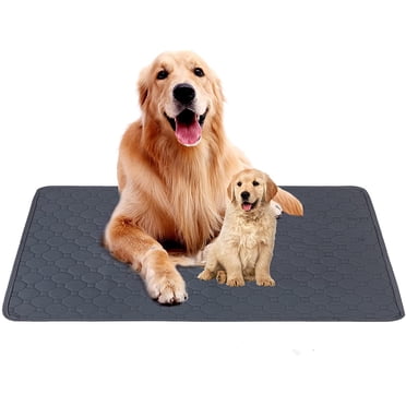 Tapis Pipi Lavables pour Chiens, Tapis d'Entraînement Réutilisables pour Chiens, Tapis Pipi Antidérapants et Imperméables pour Chiens, Tapis d'Entraînement pour Chiots, Tapis de Mise Bas pour Chiens, Chats