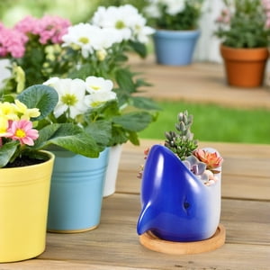 OULII Succulant Pot Fleur Pot Planter Plantes Intérieures Céramique 1Pack