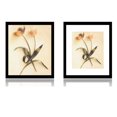 View all media