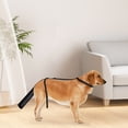 thumbnail image 4 of Housse de Protection pour Queue de Chien pour Blessure et Perte de Poils Beauté Léchage et Morsure Équipement de Protection Ajustable, 4 of 5