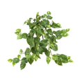 thumbnail image 1 of Nearly Natural 6059-S3 Arbuste Suspendu Pothos de 30 Po, Ensemble de 3, 1 of 3