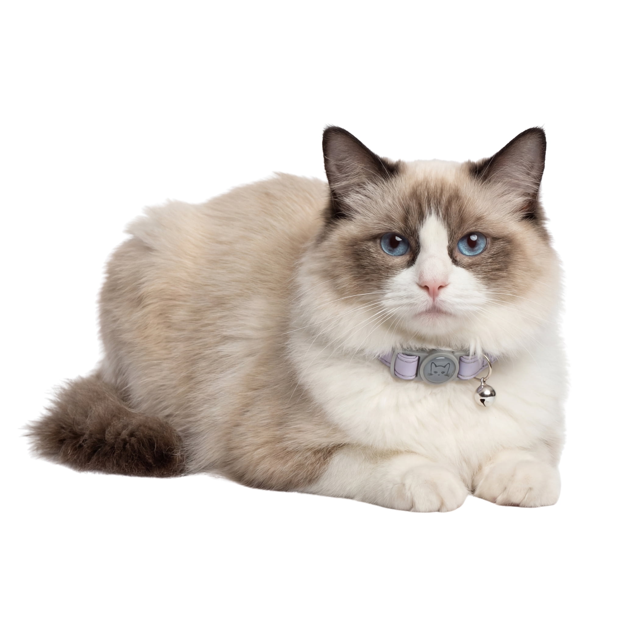 One Paw, Collier de Sécurité pour Chat en Cuir Végan, Fermoir Détachable
