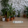 thumbnail image 1 of PENIKOKO Small Greenhouses Cover For Air Circulation And Sunlight Penetration 1Pcs, 1 of 6