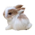 thumbnail image 2 of Imitez le Lapin Poilu pour un Cadeau à Collectionner Décorations de Pâques, 2 of 8