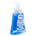 thumbnail image 2 of Equate Spring Showers Antibacterial Foaming Hand Soap, 221 ml, 2 of 7