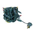 thumbnail image 2 of Novelty Lights 50 Light LED Twinkle Christmas LED Mini Light Set, Multi, Green Wire, 25 Feet, 2 of 6