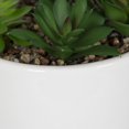 thumbnail image 3 of Macha Faux Green Succulent in White Pot, 3 of 4