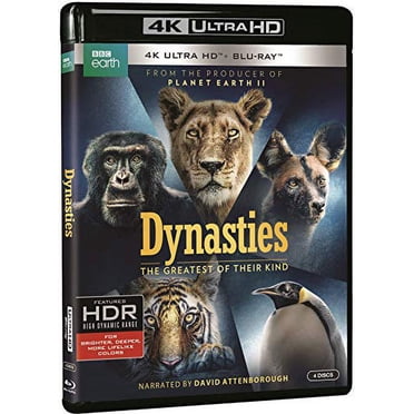 G-WARNER BROS DYNASTIES 4KBDFR