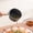Black, variant on Qonioi Nonstick Saucepan, Small Milk Pot with Removable Handle for All Stoves, Oven Safe Dishwasher Safe Soup Pan for Cooking, 1-2 Person Induction Compatible Sauce Pot with Lid