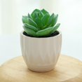 thumbnail image 2 of Coofit Mini Potted Succulent Lifelike - Artificial Plant Faux Succulent in Pot for Home, 2 of 4