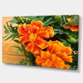 thumbnail image 2 of Marigold Flower on Wooden Background - Floral Canvas Art Print, 2 of 3