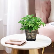 Self-Watering Planter with Drainage Holes, 8 Inch Plastic Flower Pot for Indoor and Outdoor Plants, Durable Lightweight Decorative Garden Pot for Roses, Herbs