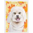 thumbnail image 1 of Carolines Treasures CK1409GF Bichon Frise Fall Flag - Garden Size, 1 of 3