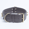 thumbnail image 2 of Collier pour Chien en Cuir à Pointes AMSTERDAM à Multiples Rangées de Pointes, 2 of 4
