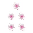 thumbnail image 1 of QualitChoice Maille Fascinator Femmes Coiffure Photographie Accessoires Prom Maquillage Performance Réglable Cosplay Partie Couvre-Chef Rose 5PCS, 1 of 6