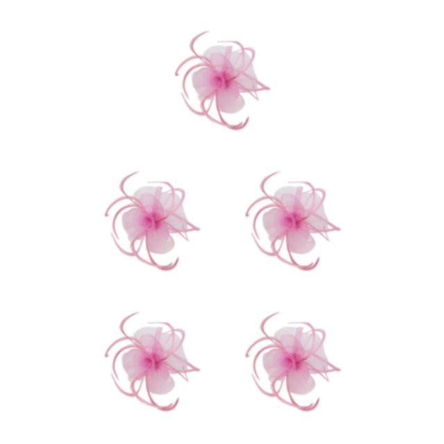 QualitChoice Maille Fascinator Femmes Coiffure Photographie Accessoires Prom Maquillage Performance Réglable Cosplay Partie Couvre-Chef Rose 5PCS