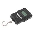 thumbnail image 2 of Portable Electronic Scale USB Charging Fishing Scale 165lb Load Bearing Digital Hanging Fish Scale for Luggage, 2 of 12