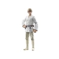 thumbnail image 3 of Star Wars The Vintage Collection Luke Skywalker, 3 of 6