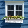 thumbnail image 2 of Yorkshire Window Box, 2 of 2