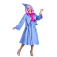 thumbnail image 1 of Adult Plus Size Fairy Godmother Costume, 1 of 10