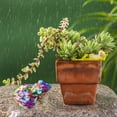 thumbnail image 4 of Birdeem Fish Tank Decorations, Garden Decorations Outdoor, Garden Ornaments Frogs for Garden Decor Fish Tank Decorations, Fish Tank Light, Outdoor Garden Decor, Frog Garden Decor, 4 of 6