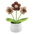 thumbnail image 1 of Bgsha Handwoven Wool Crochet Puff Flower Pot: A Timeless,Low-maintenance Home Decor!, 1 of 10